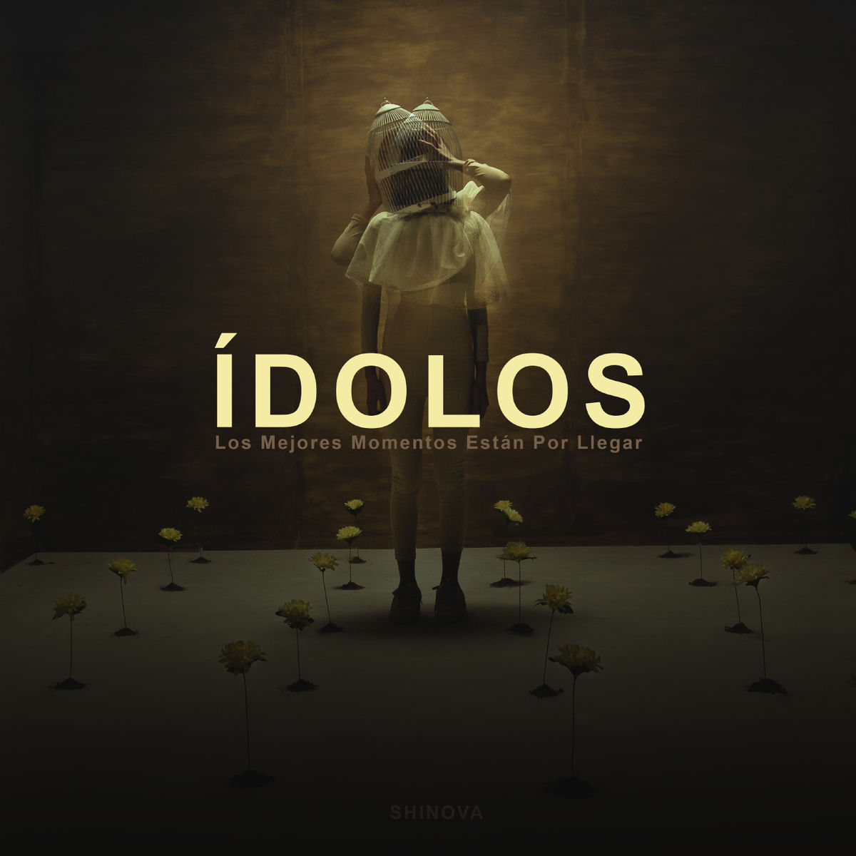 Album cover of Ídolos (Los mejores momentos están por llegar)