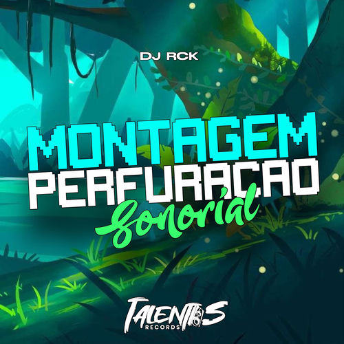MONTAGEM PERFURAÇÃO SONORial