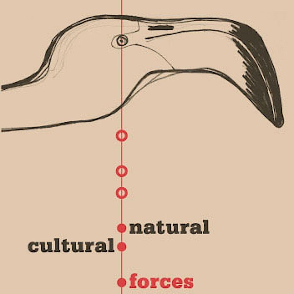 Picture of Natural / Cultural Forces