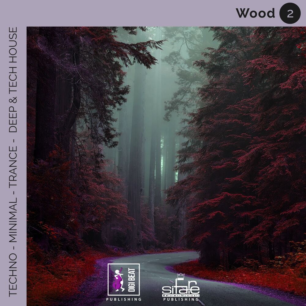 Picture of Wood 2 (Techno Minimal Trance Deep and Tech House Remix)