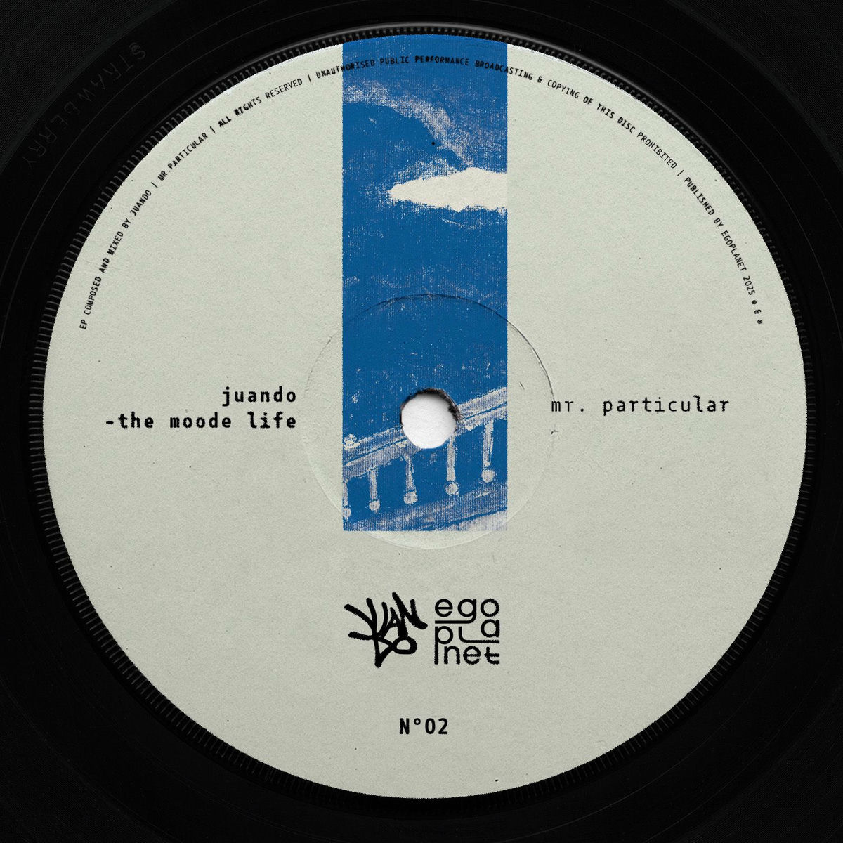 Album cover of Mr. Particular