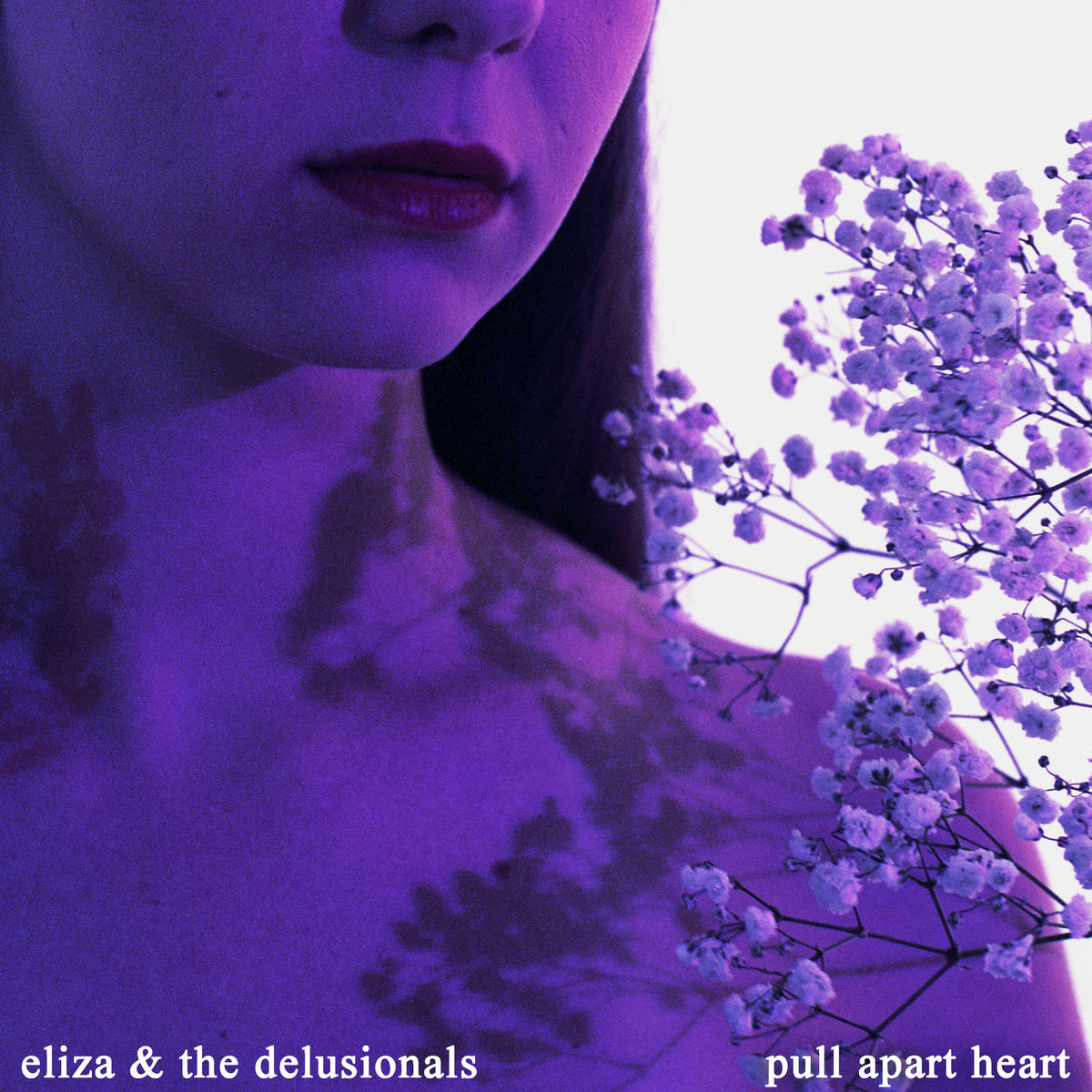 Album cover of Pull Apart Heart