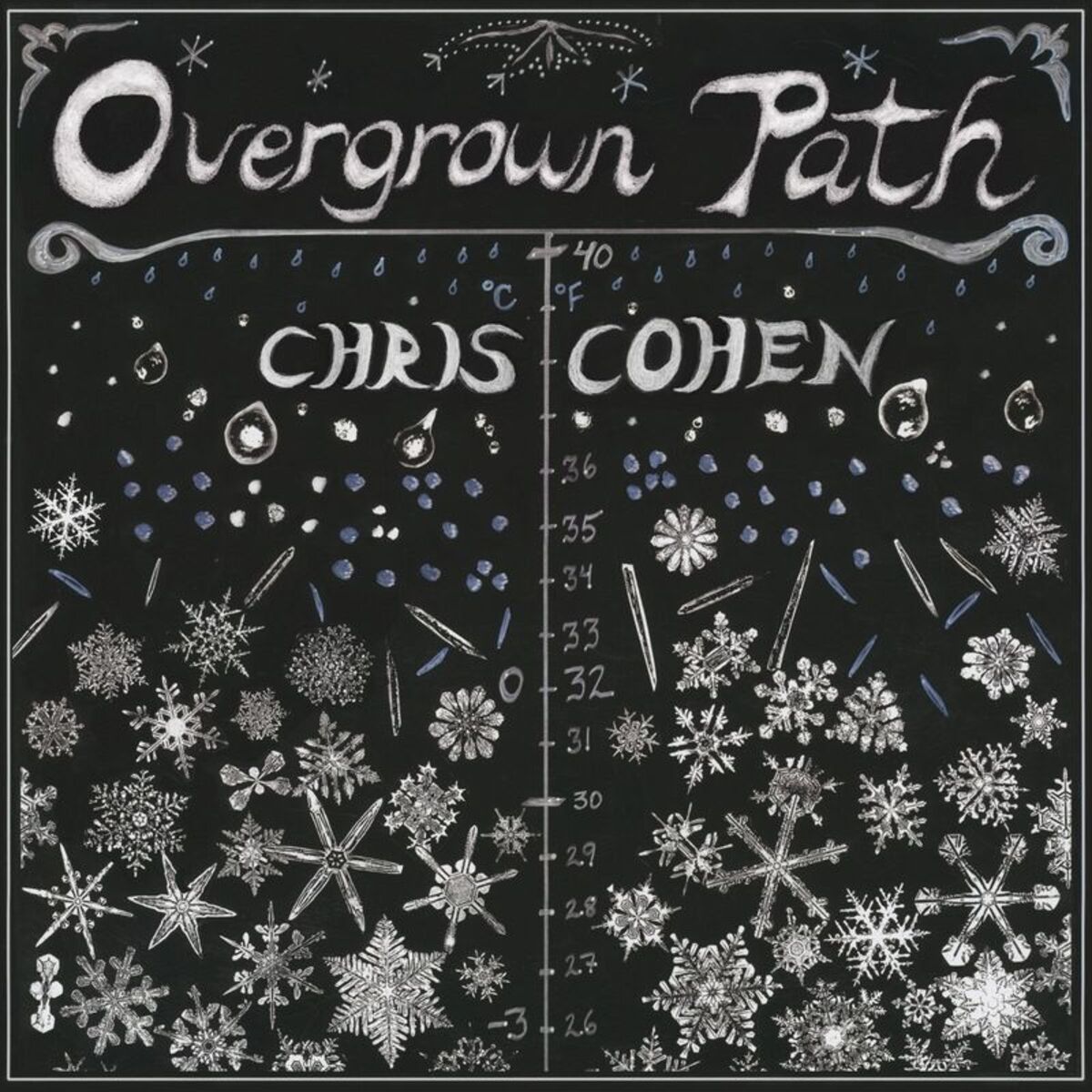 Album cover of Overgrown Path