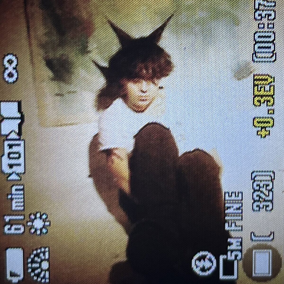 Album cover of grey europe