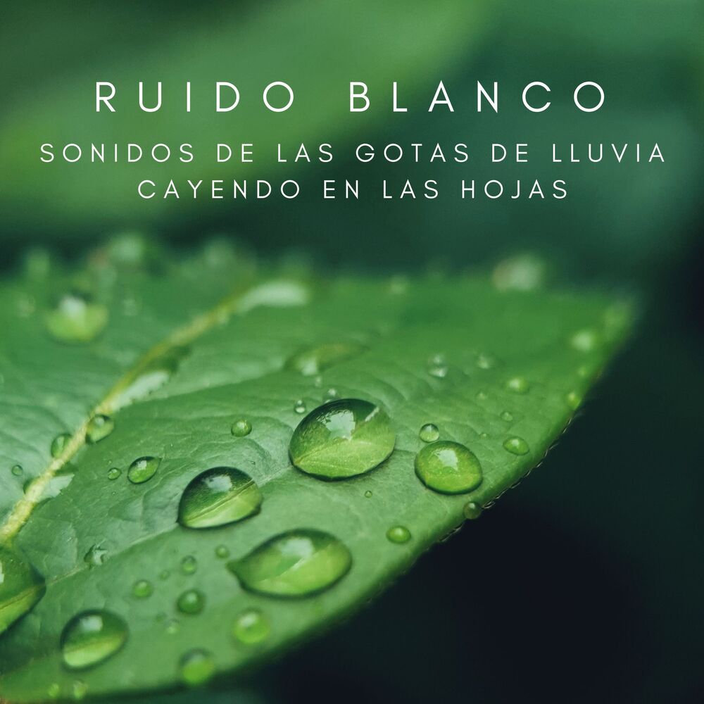 Picture of Ruido Blanco: Sonidos De Las Gotas De Lluvia Cayendo En Las Hojas