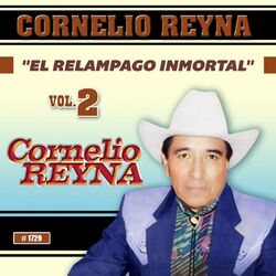 Cover of El Relampago Inmortal, Vol. 2