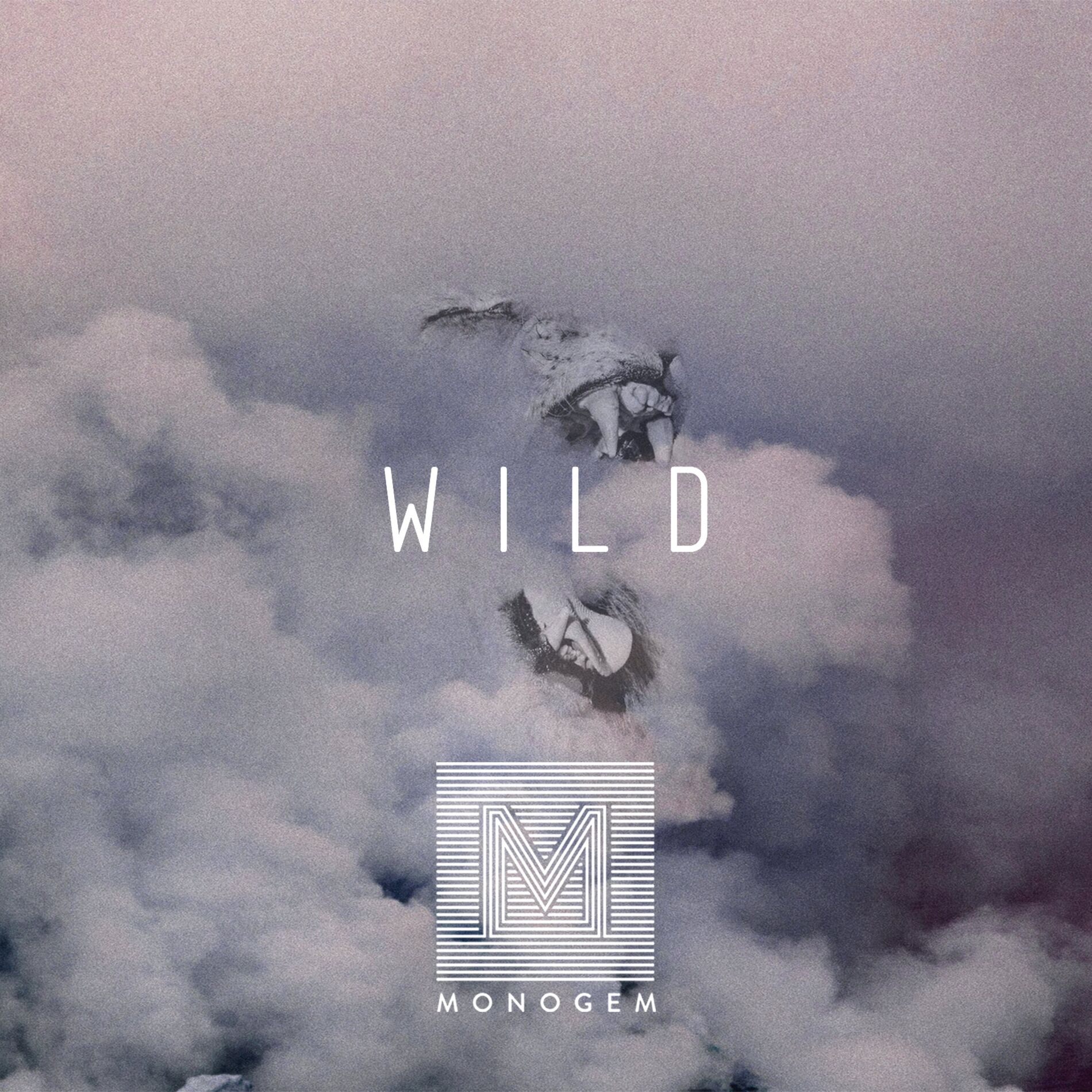 Album cover of Wild