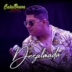 Cover of Desalmada