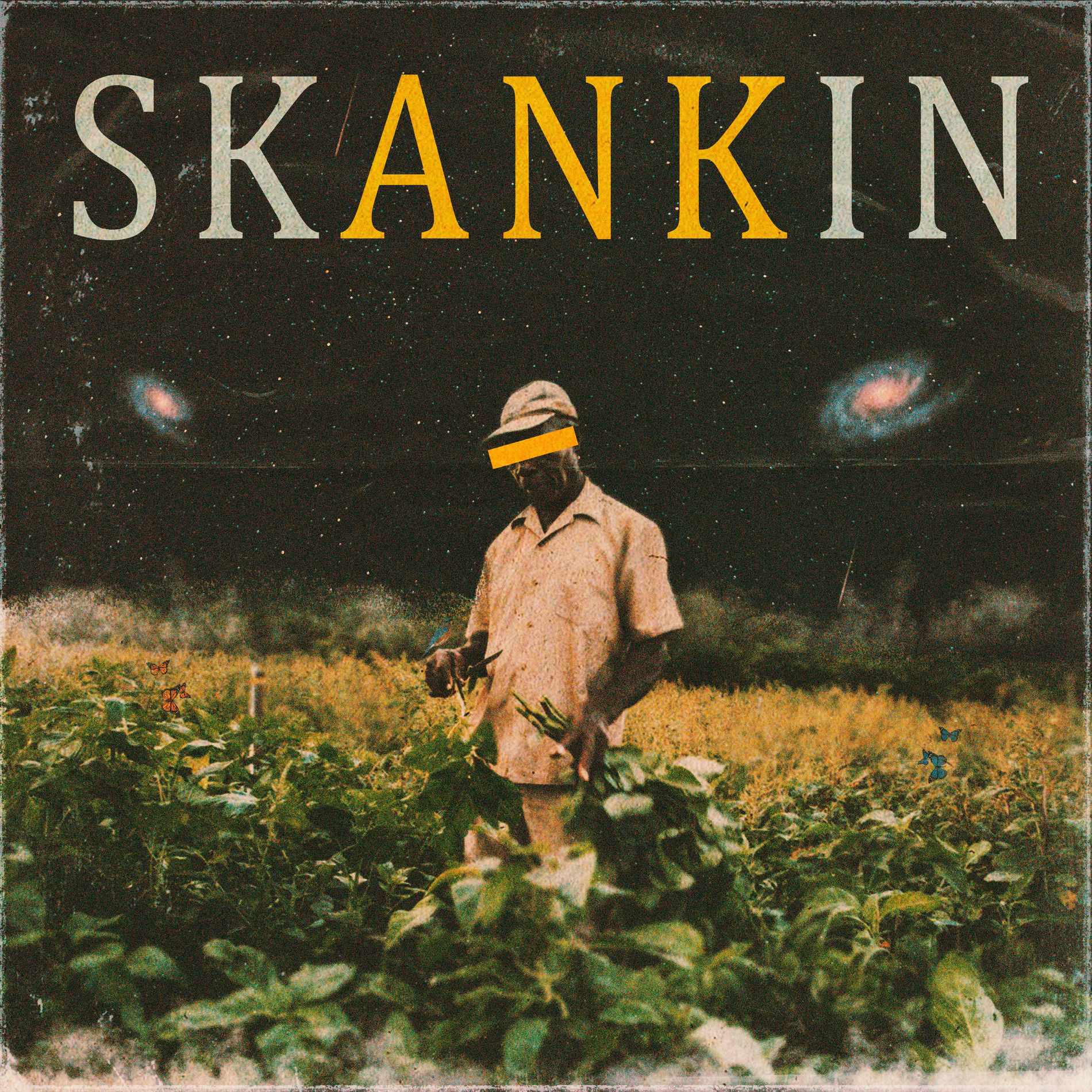 Album cover of Skankin