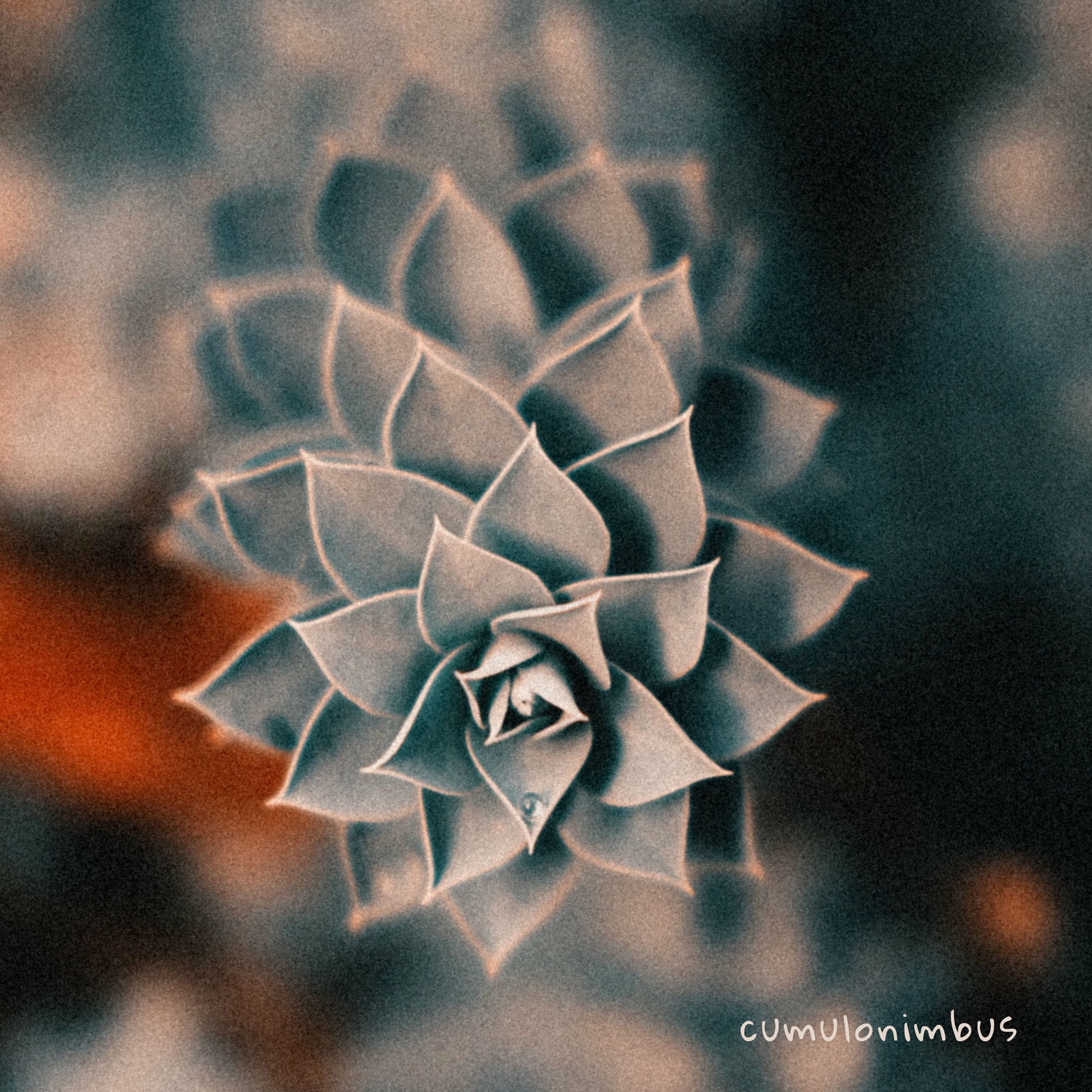 Album cover of Cumulonimbus