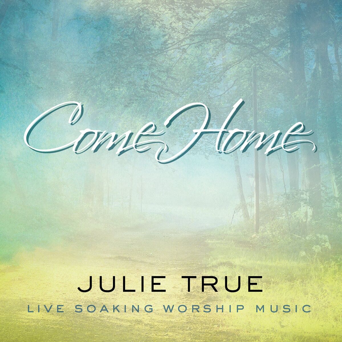 Album cover of Come Home (Live Soaking Worship Music)