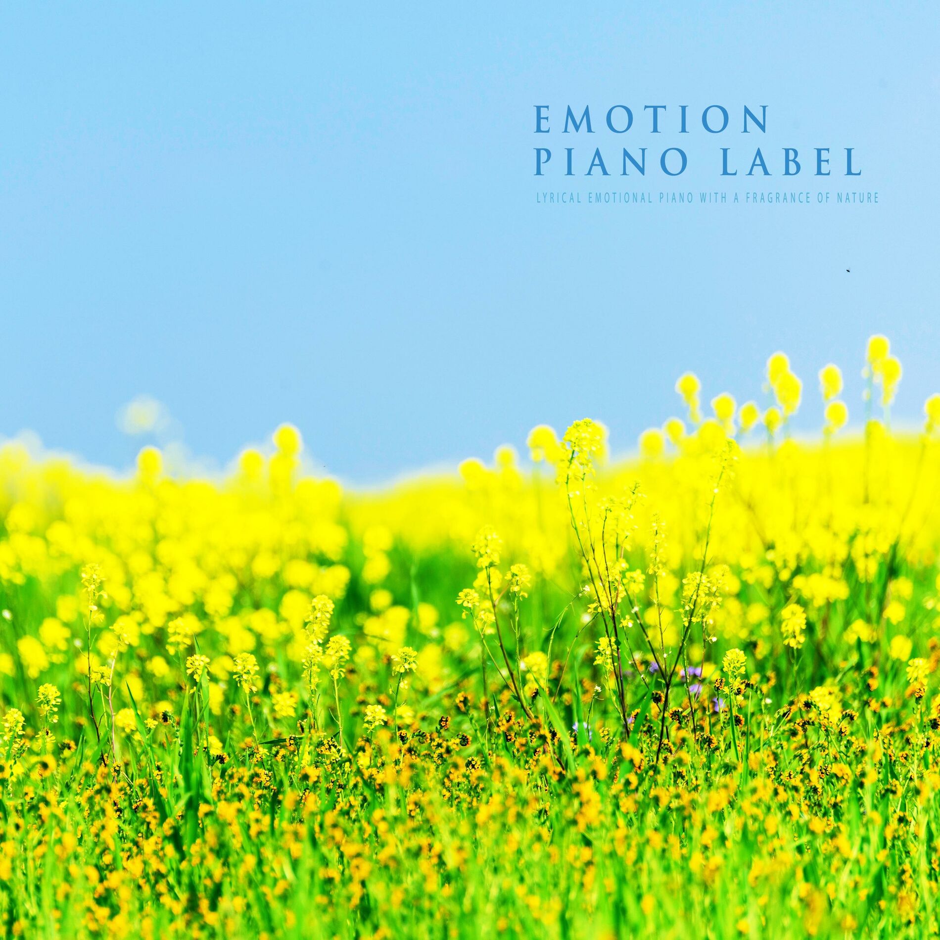 Album cover of Lyrical Emotional Piano With A Fragrance Of Nature (Nature Ver.)