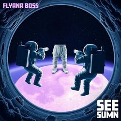 Cover of See Sumn