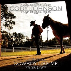 Cover of Cowboy Like Me