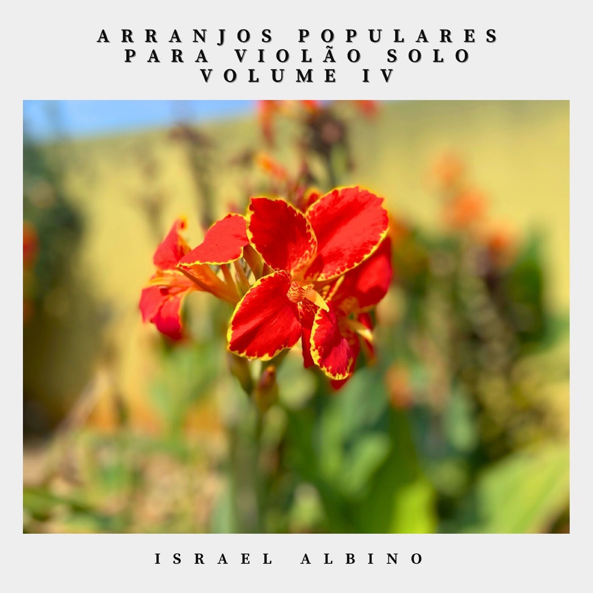 Album cover of Arranjos Populares para Violão Solo Vol. IV
