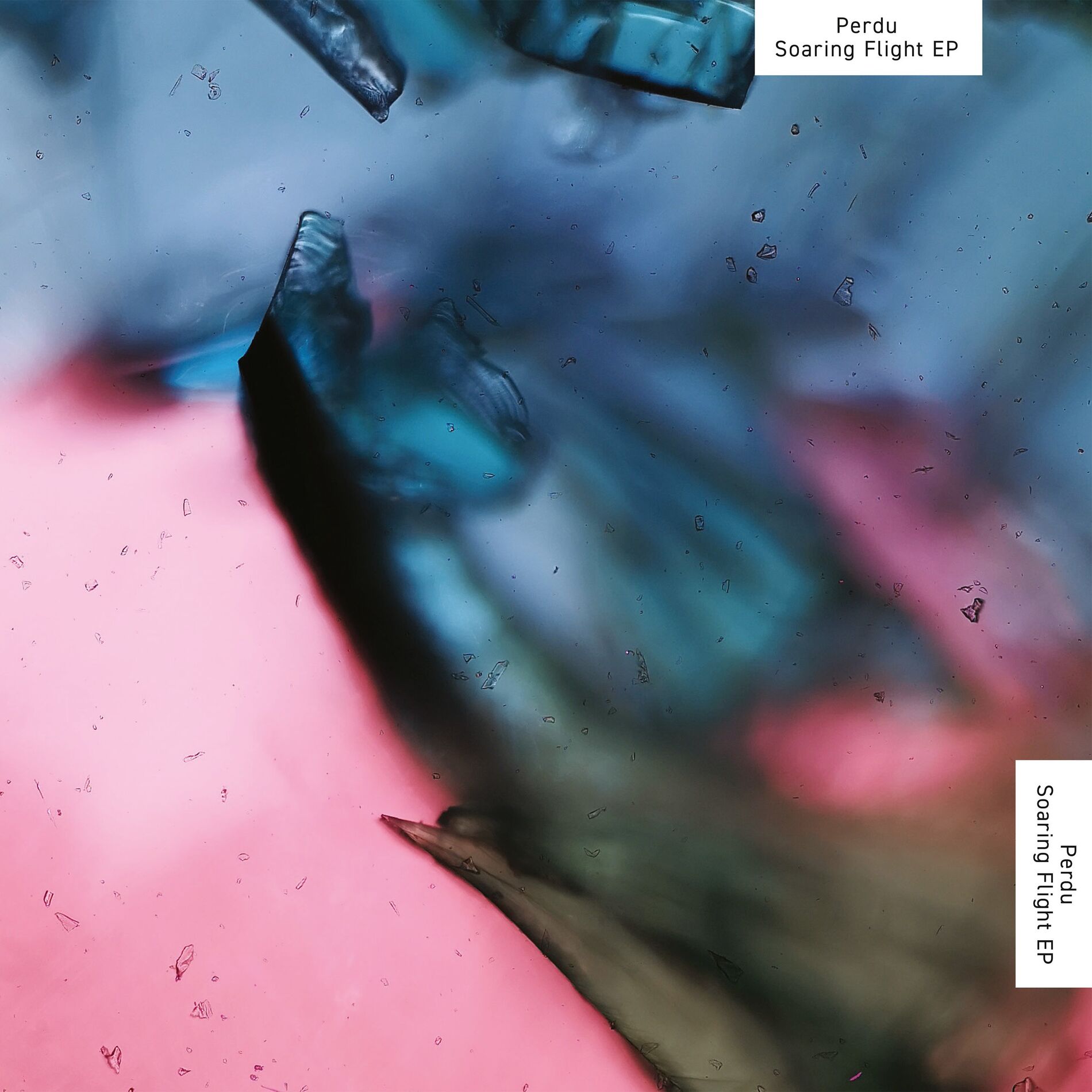 Album cover of Dystopia