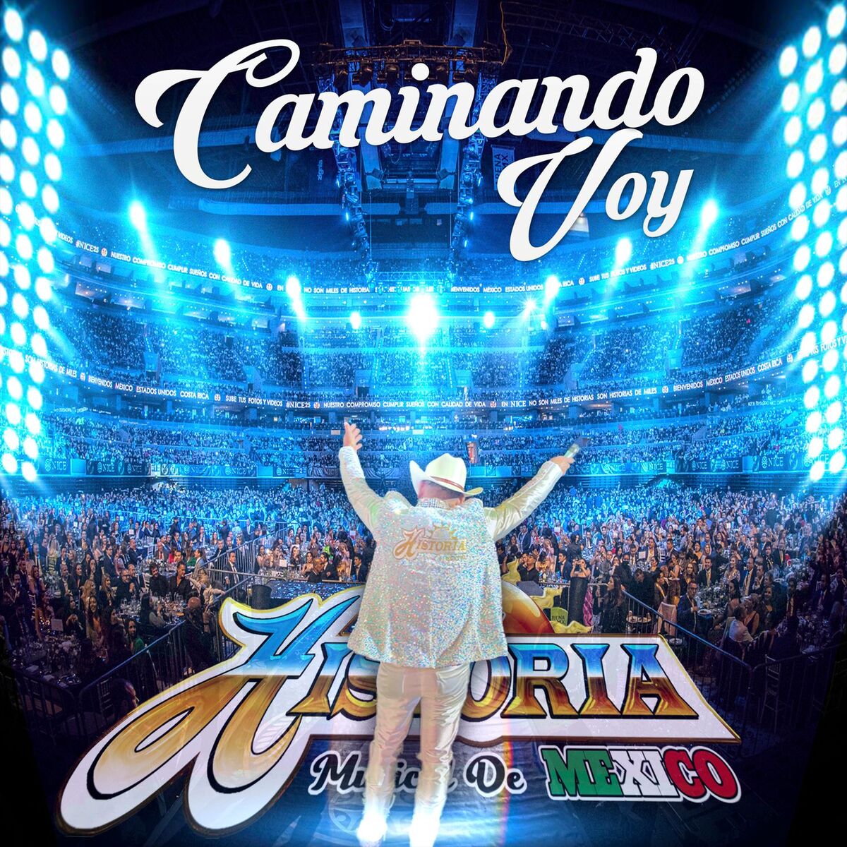 Album cover of Caminando Voy