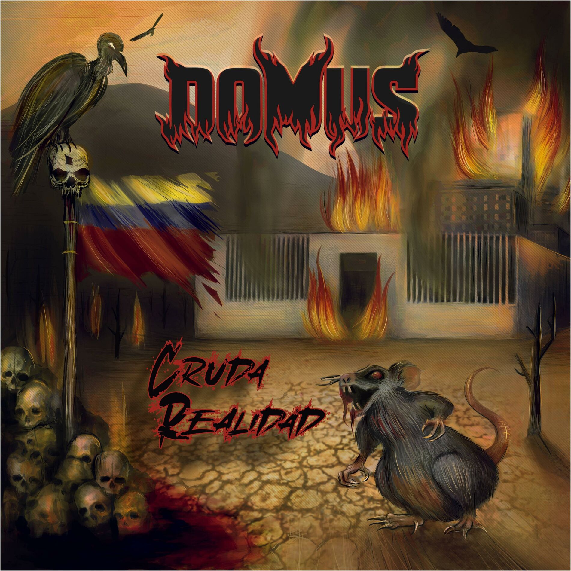 Album cover of Cruda Realidad
