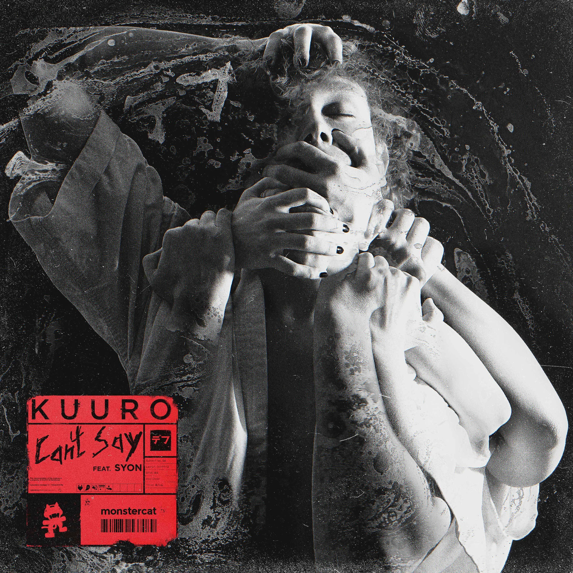 Album cover of Can't Say