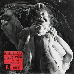 Cover of Can't Say