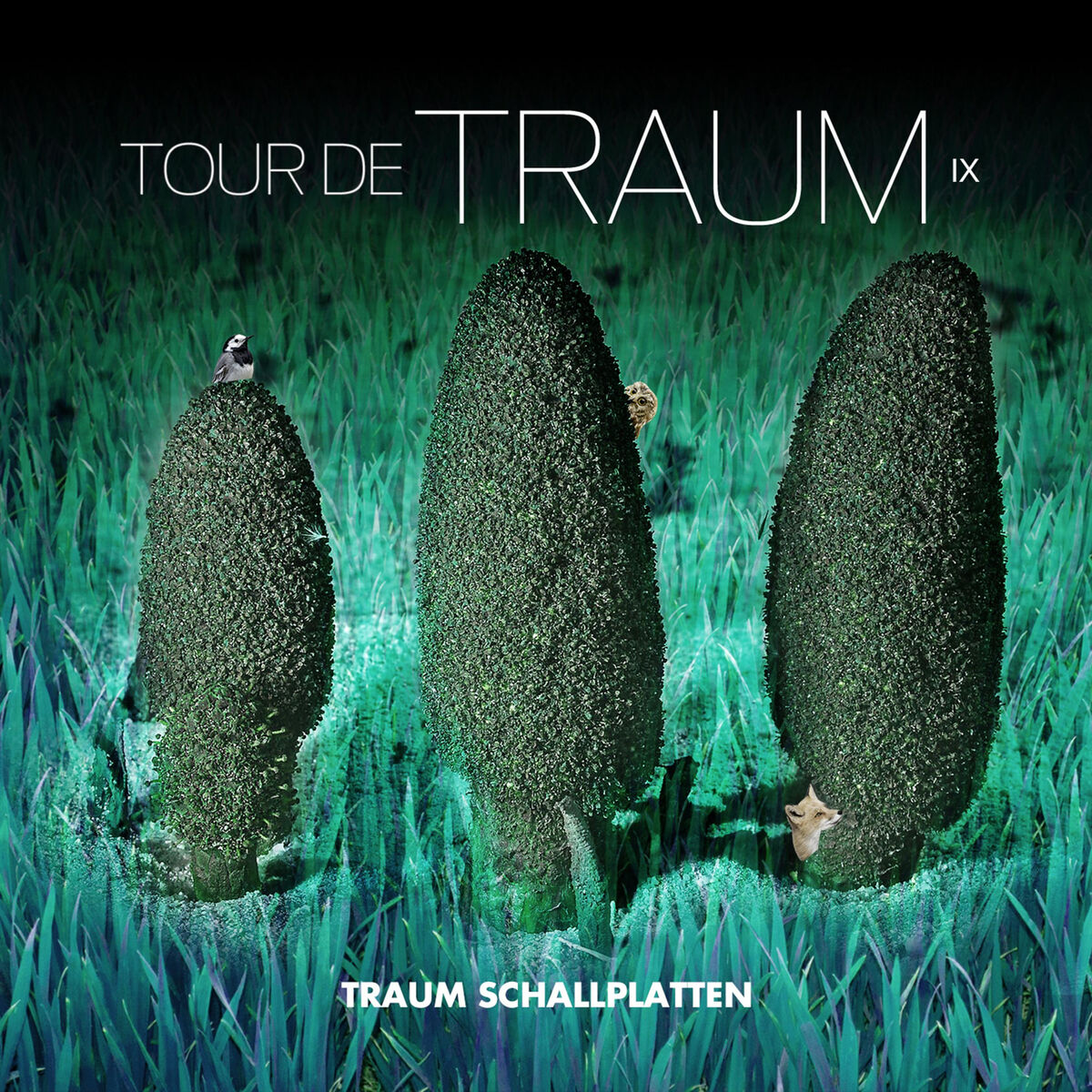 Album cover of Tour De Traum IX Mixed by Riley Reinhold