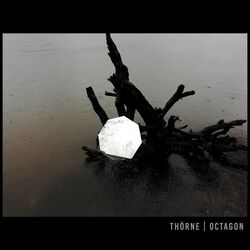 Cover of Octagon