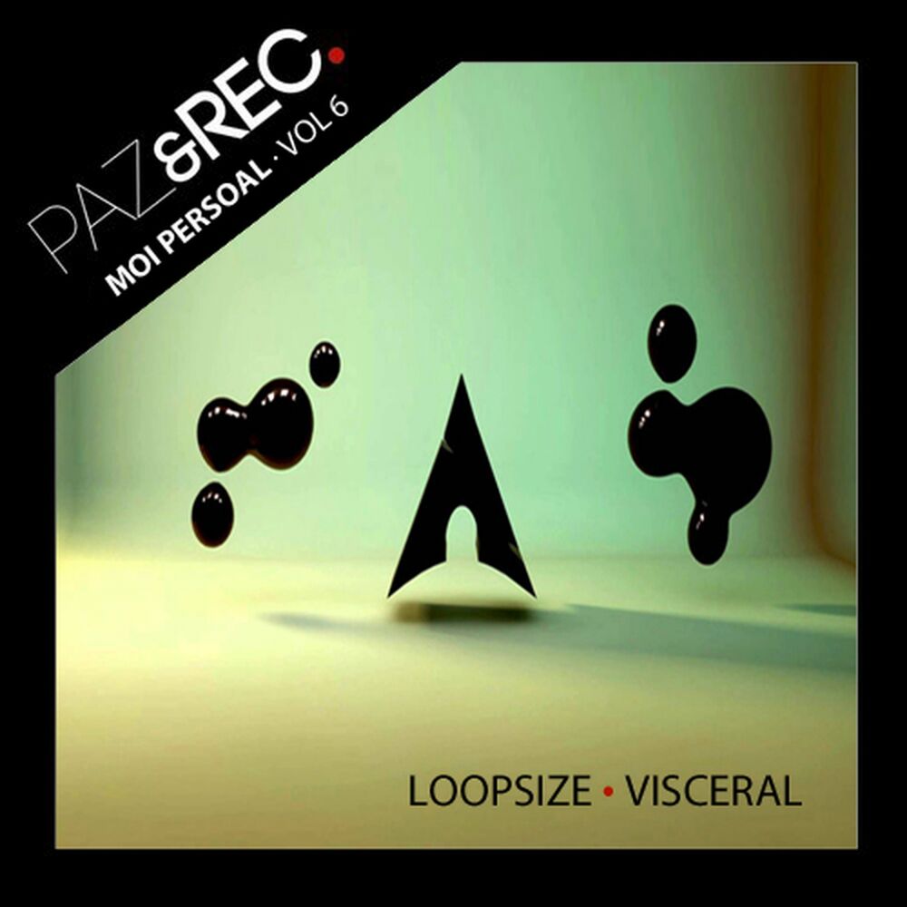 Picture of Moi Persoal, Vol. 6: Visceral