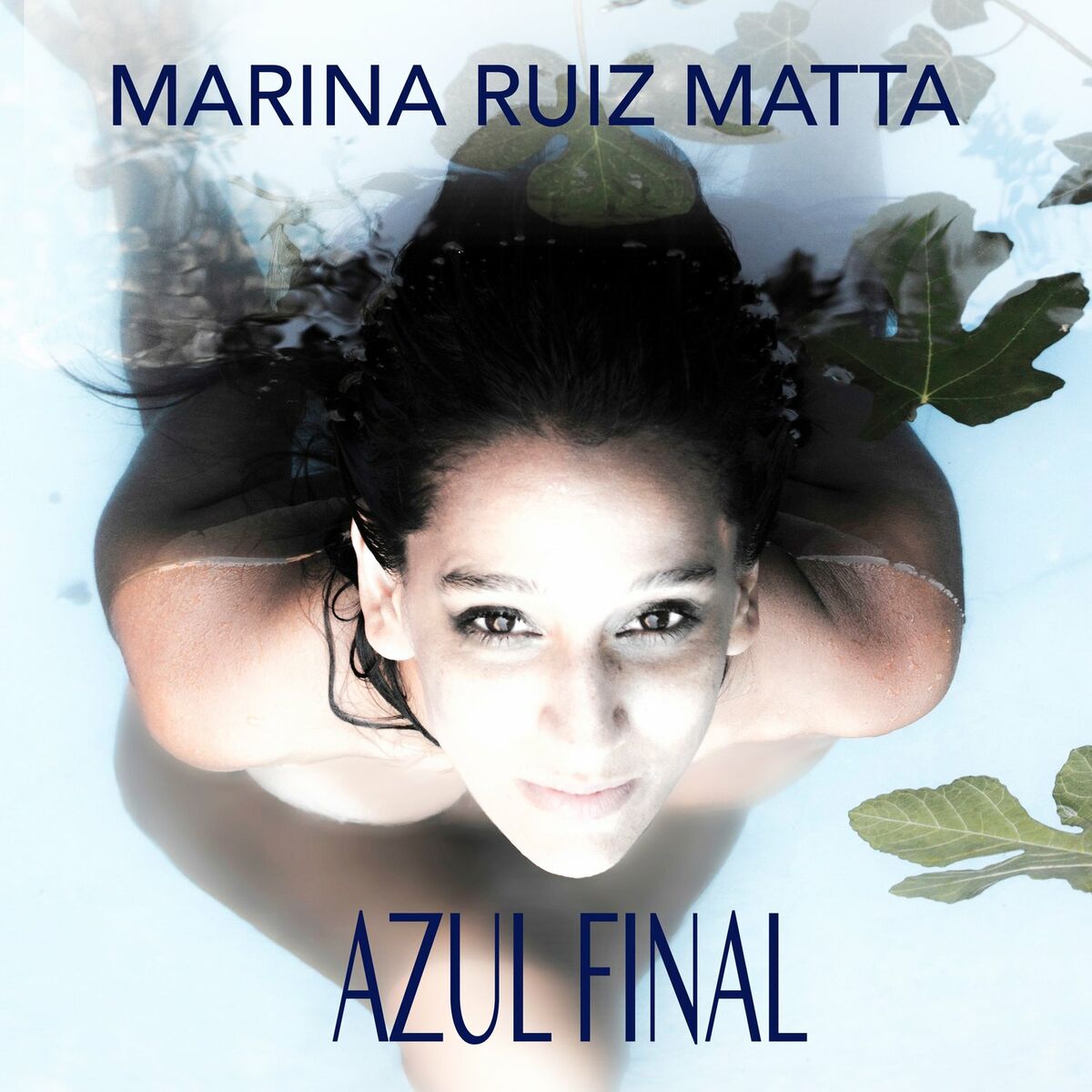 Album cover of Azul Final
