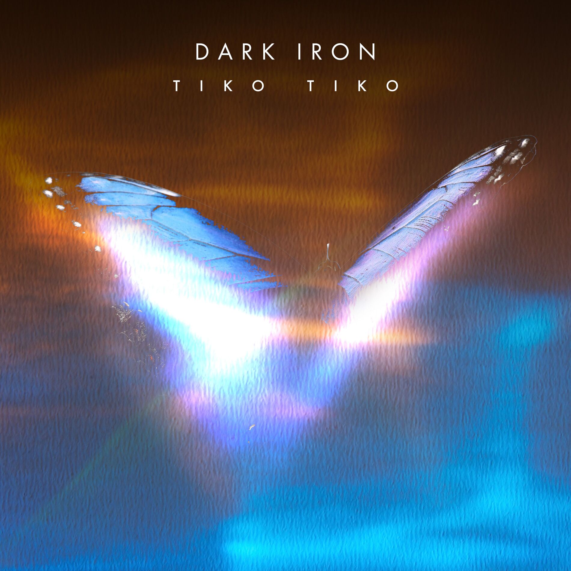 Album cover of Dark Iron