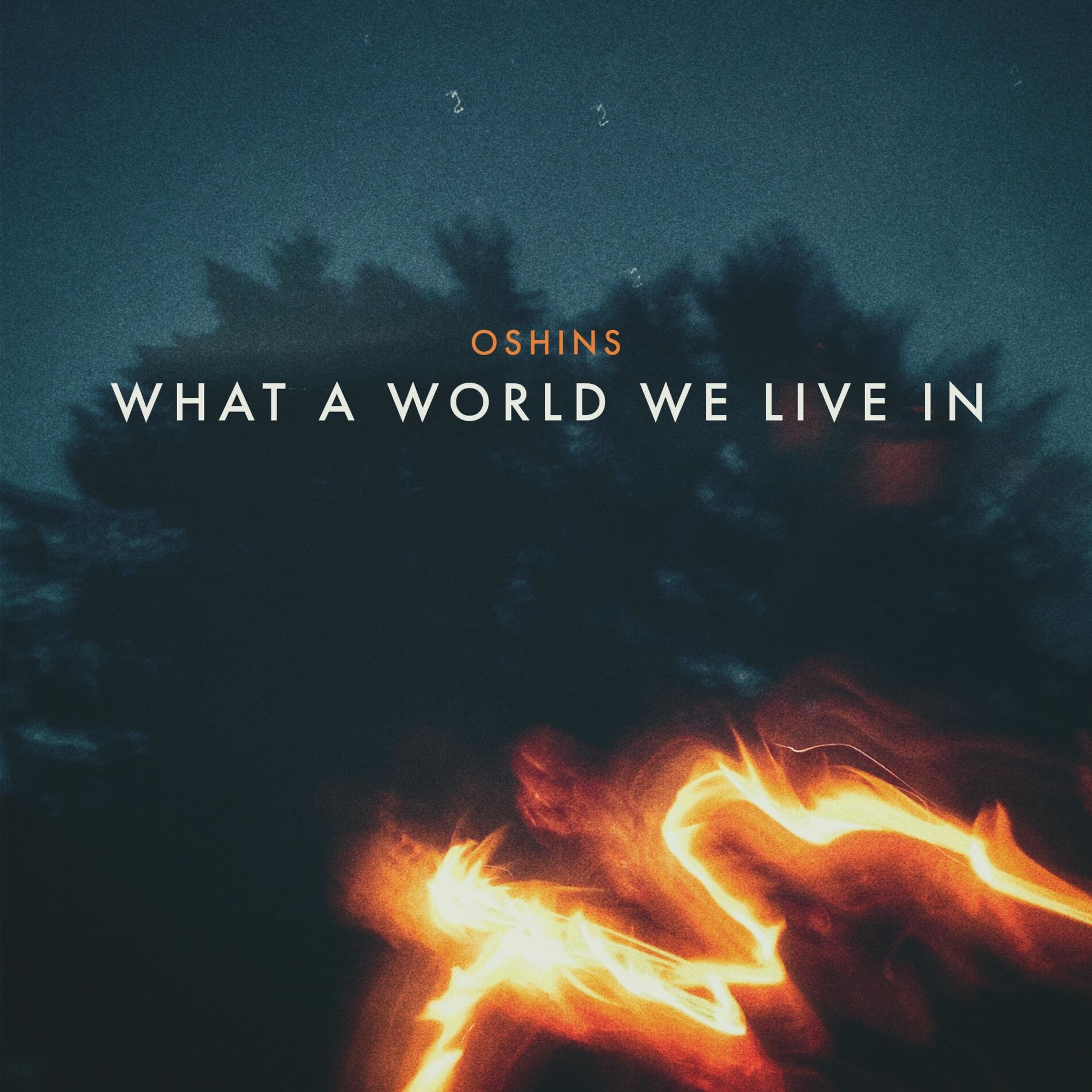 Album cover of What a World We Live In
