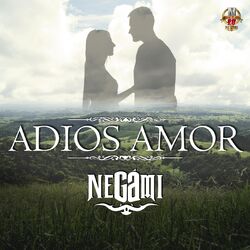 Cover of Adios Amor