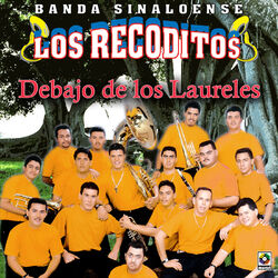 Cover of Debajo De Los Laureles
