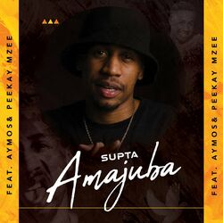 Cover of Amajuba