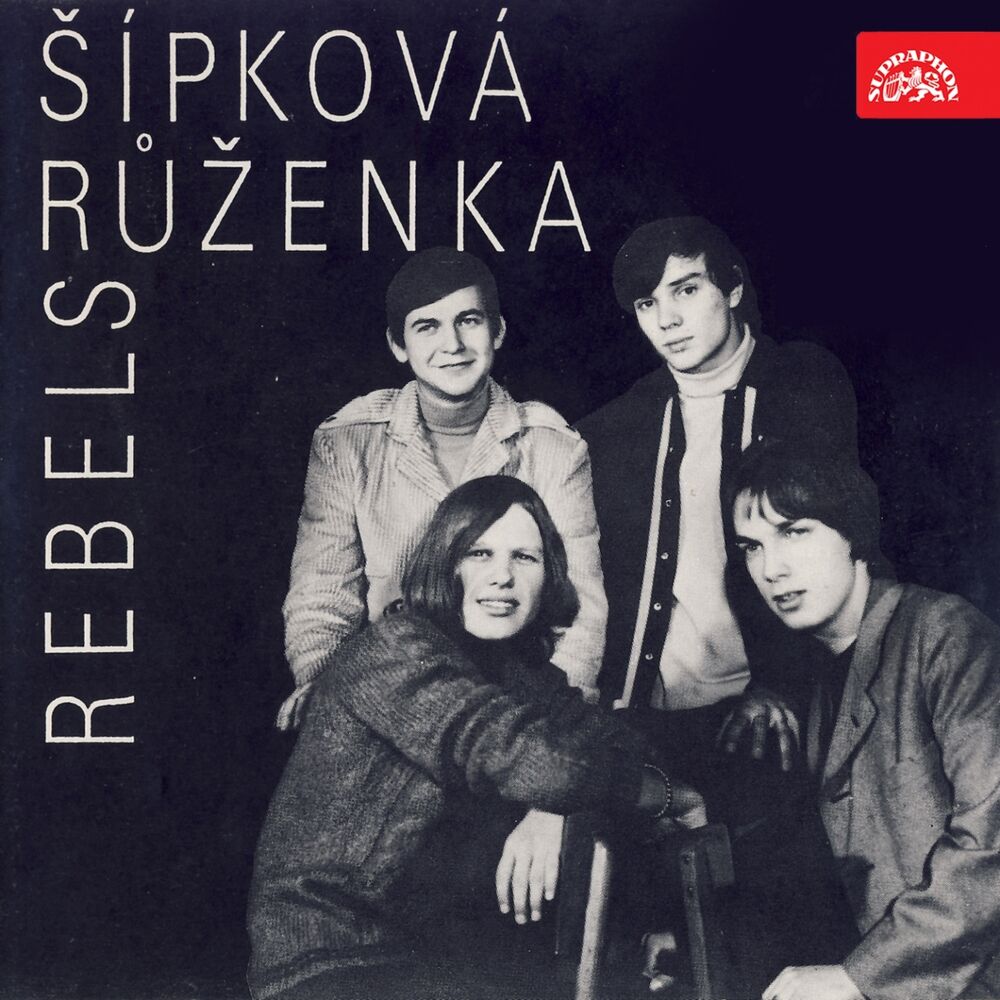 Picture of Šípková Růženka
