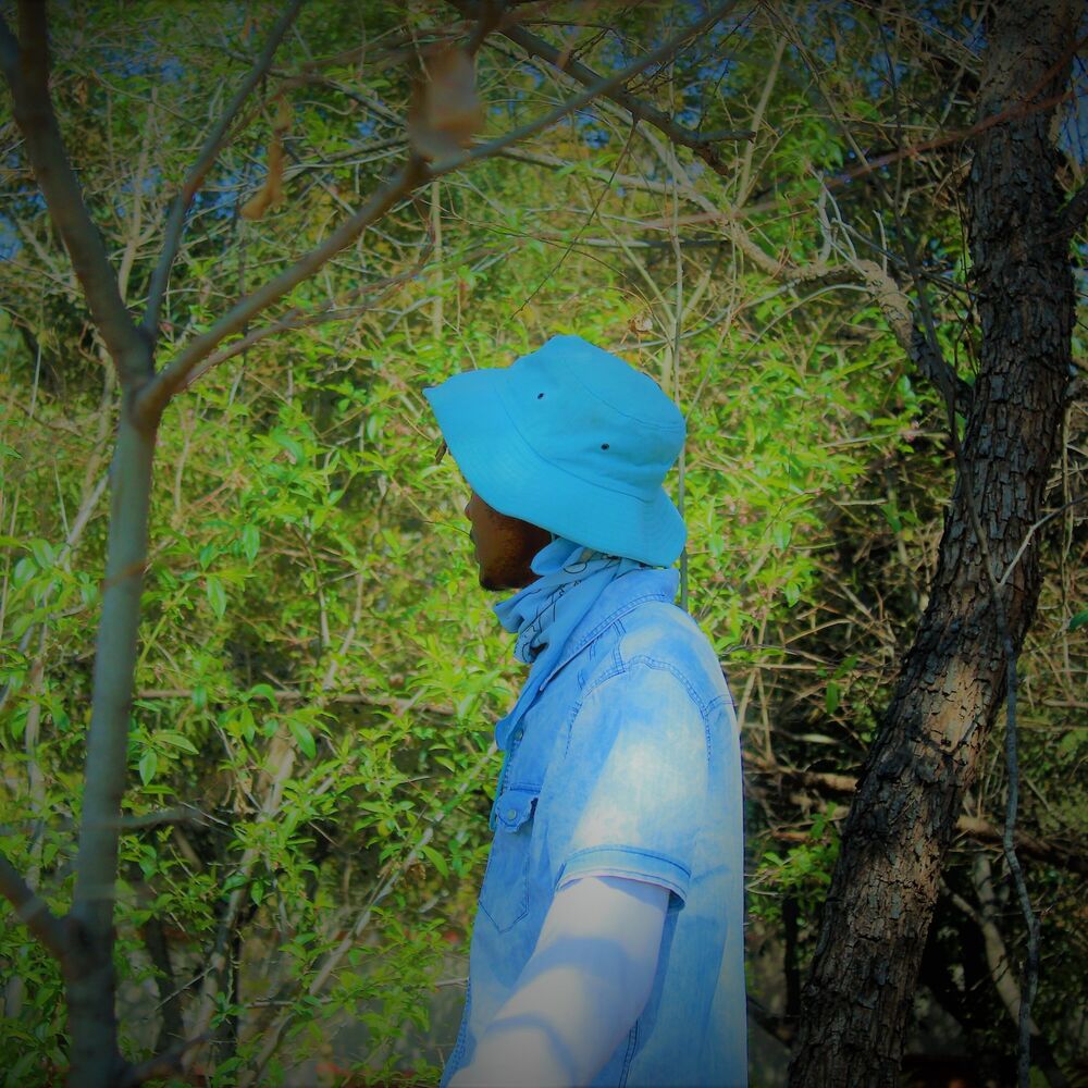 Picture of Travelocity