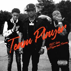 Cover of Team Player
