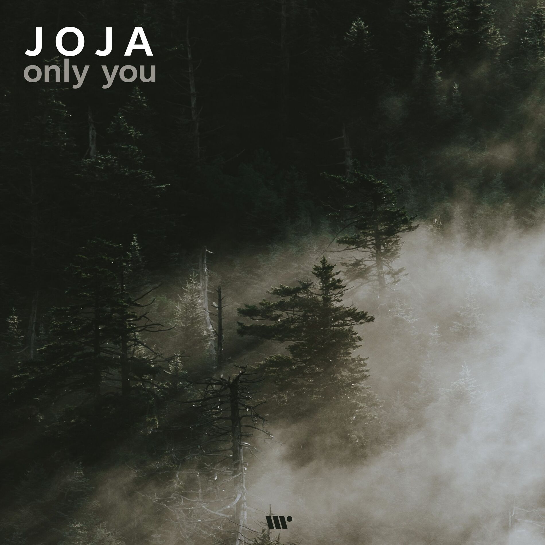 Album cover of Only You
