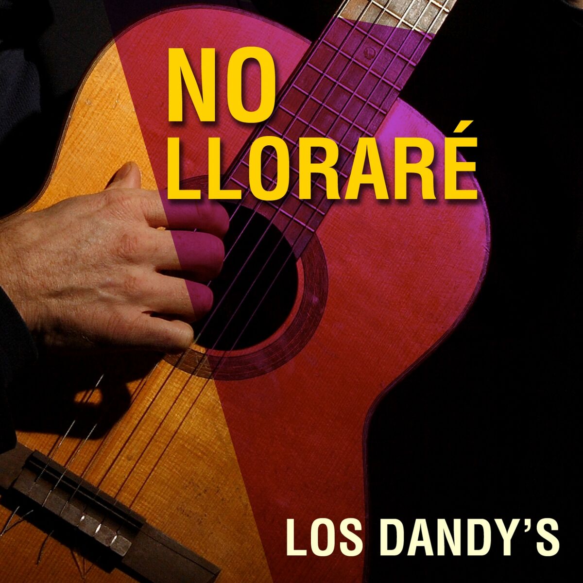 Album cover of No Lloraré