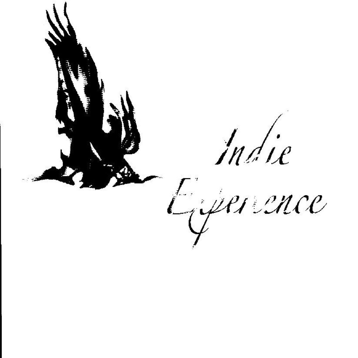 Album cover of Indie Experience
