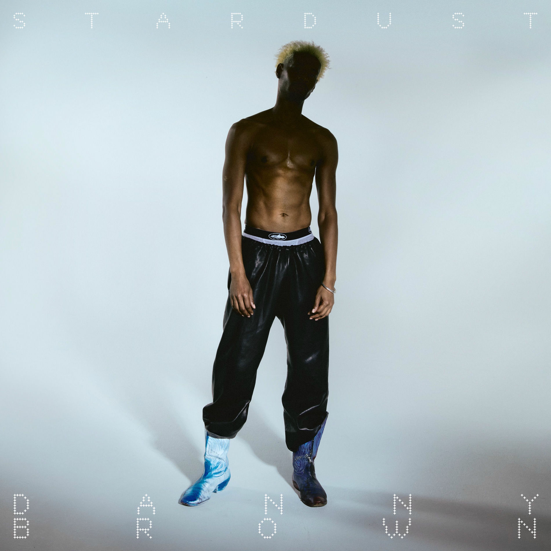 Album cover of Stardust