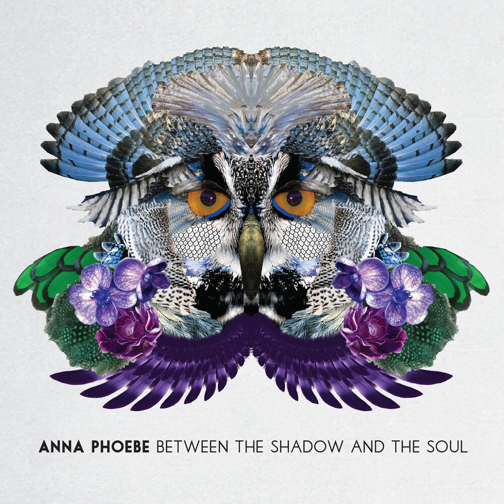 Picture of Between the Shadow and the Soul