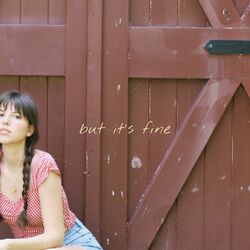 Cover of but it's fine