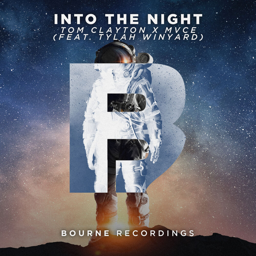 Picture of Into the Night