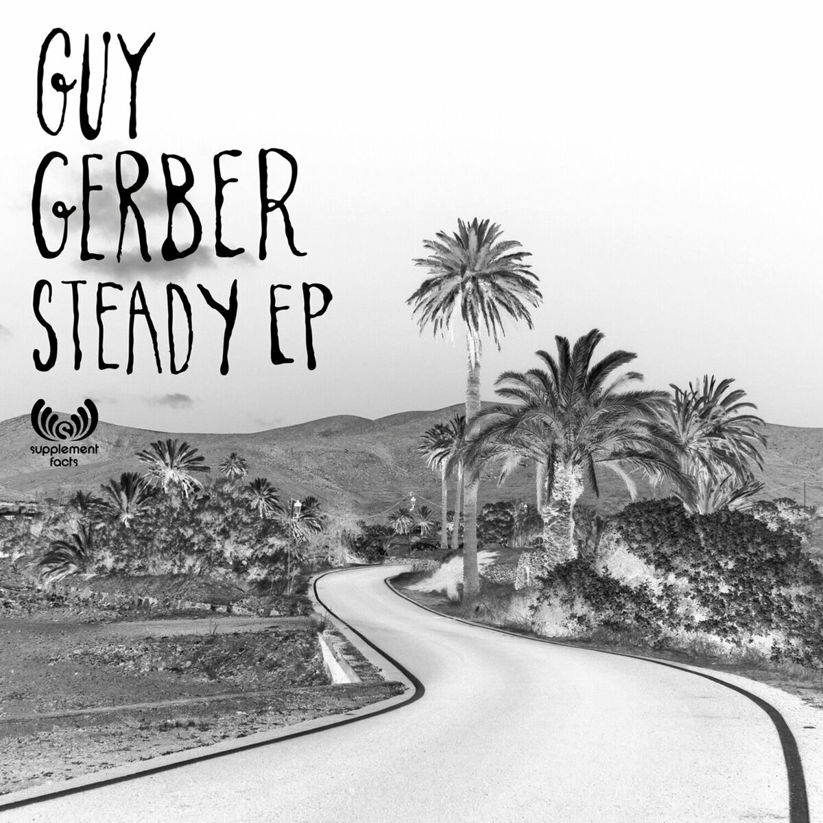 Album cover of Steady (Richie G's 'She's the One' Remix)