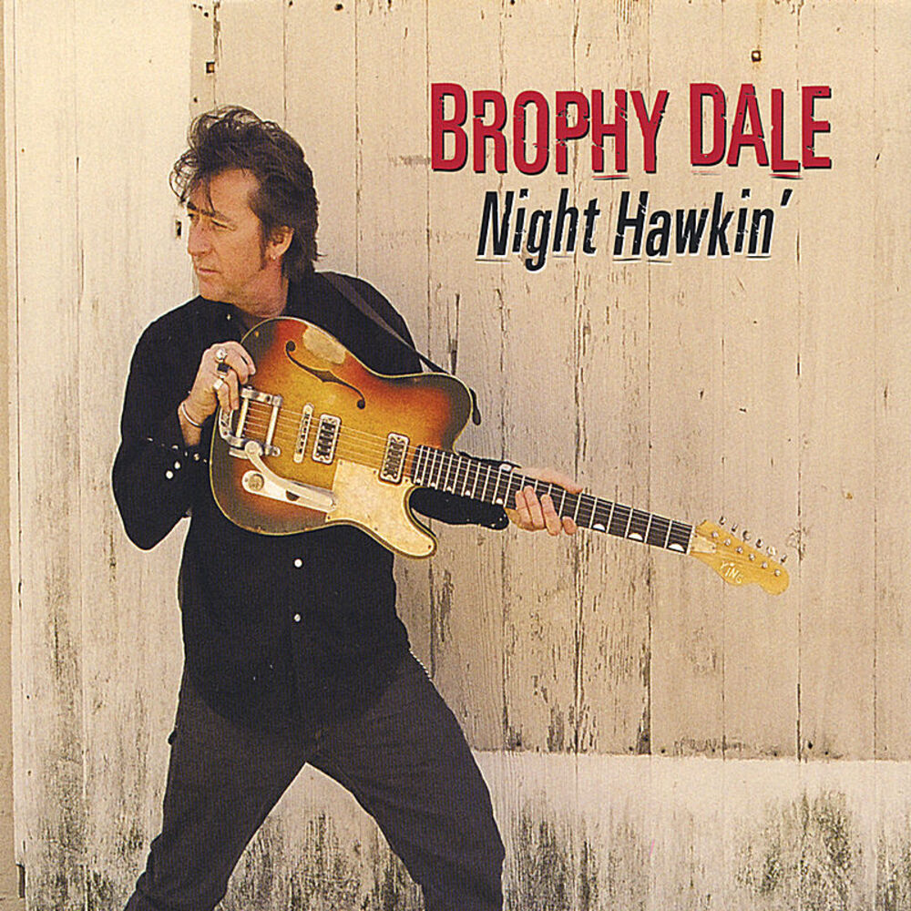Picture of Night Hawkin'
