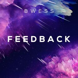 Cover of Feedback