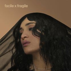 Cover of facile x fragile