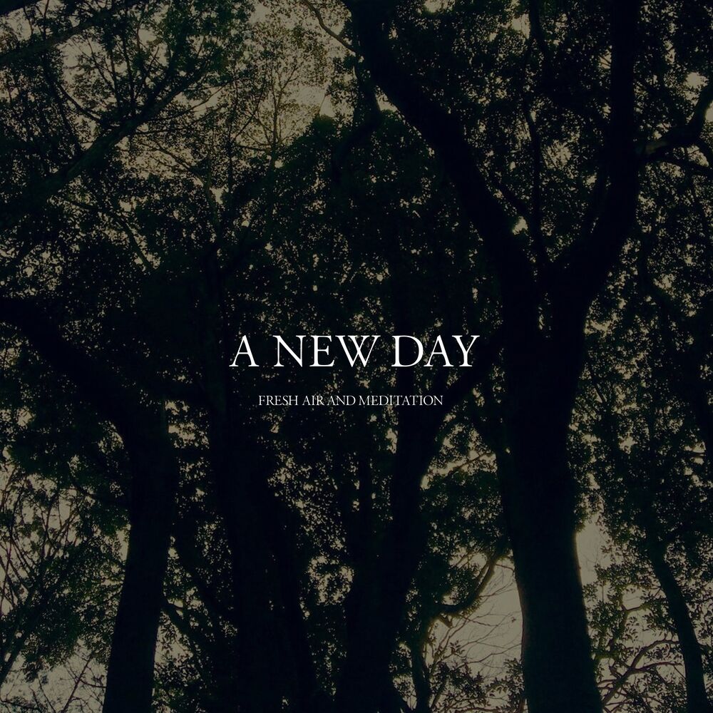 Picture of A New Day