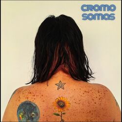 Cover of Cromosomas