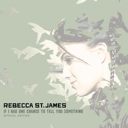 Cover of If I Had One Chance To Tell You Something